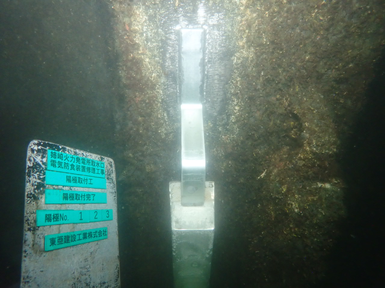 千葉県姉ヶ崎火力発電所:取水路カーテンウォールの写真