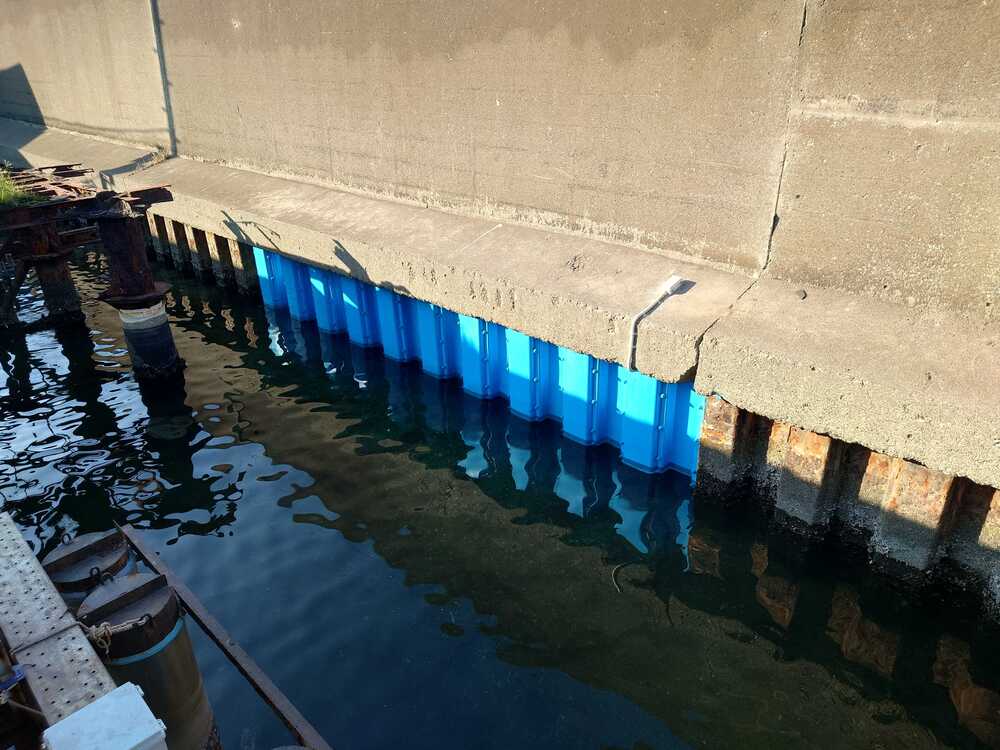 日本メサライト(2025年 千葉県船橋市)